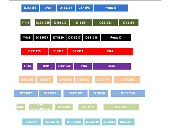 最新突破·10色熒光檢測平臺